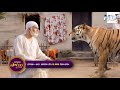 Sadguru sai promo  how sai faces tiger  mon  sat at 530 pm on etv telugu   