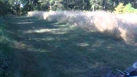 Pumpkin+32 oz. Gasoline+exploding rifle target=FUN