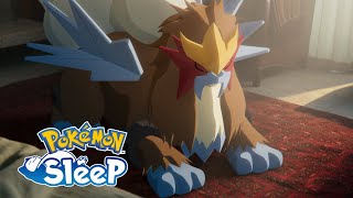 Pokémon Sleep | Entei arrives in May 2024! 🔥