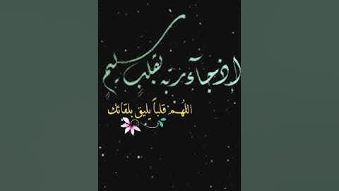 صباح الخير تلاوة بصوت الشيخ  عبدالله الموسى الآيات (110-115) سورة آل عمران