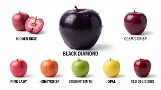 12 Forgotten Apple Varieties You Need to Try | Every Apple Explained