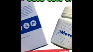 Jual Obat iMove Asli Suplemen Sendi dan Tulang