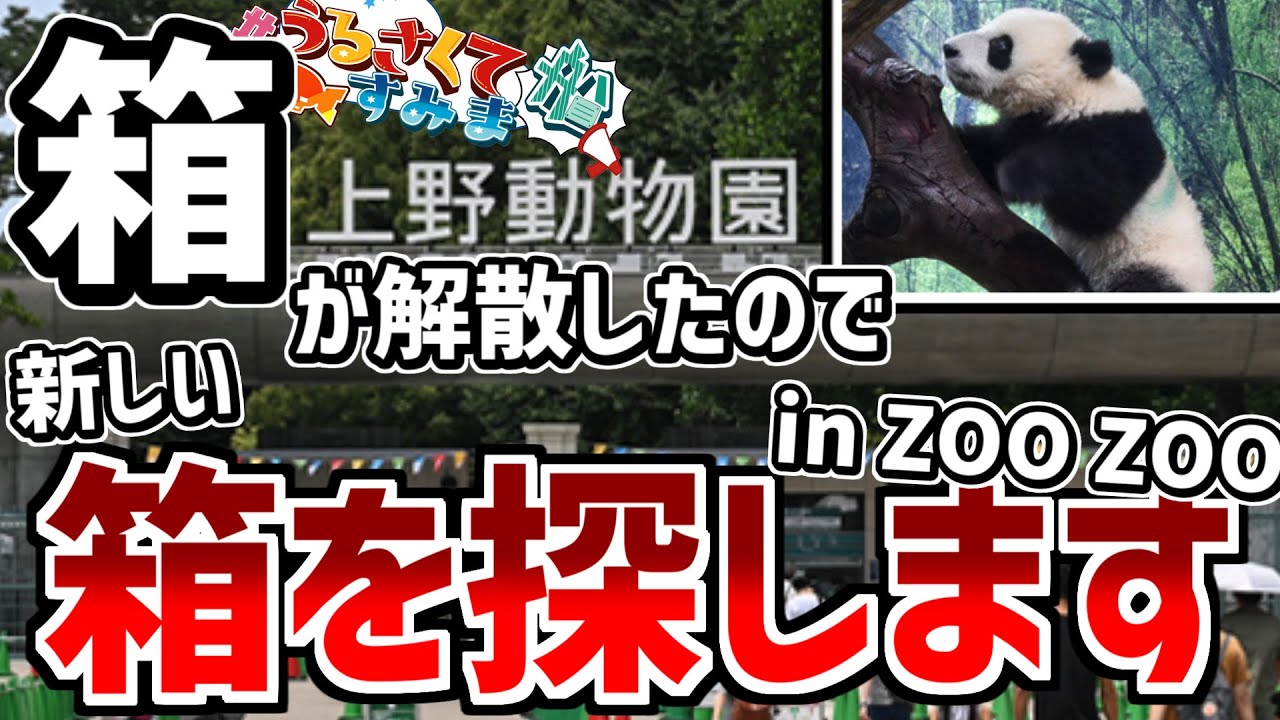 グループが解散になった男の箱探しのVlog in 上野動物園