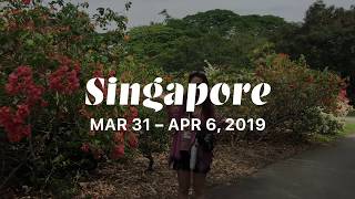 2019 | Singapore on business trip 🌿