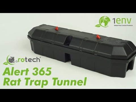 Snap Traps - Rat & Mice - 1env Solutions