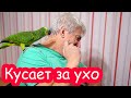 VLOG Ура!!! Мы купили подарки. Проша атакует Костю