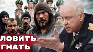 Мигрантов слишком много Бастрыкин призвал больше внимания сигналам людей