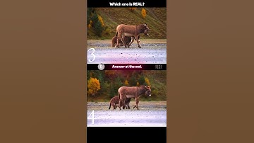Discover the Future: AI Video Technology You #ai #shorts