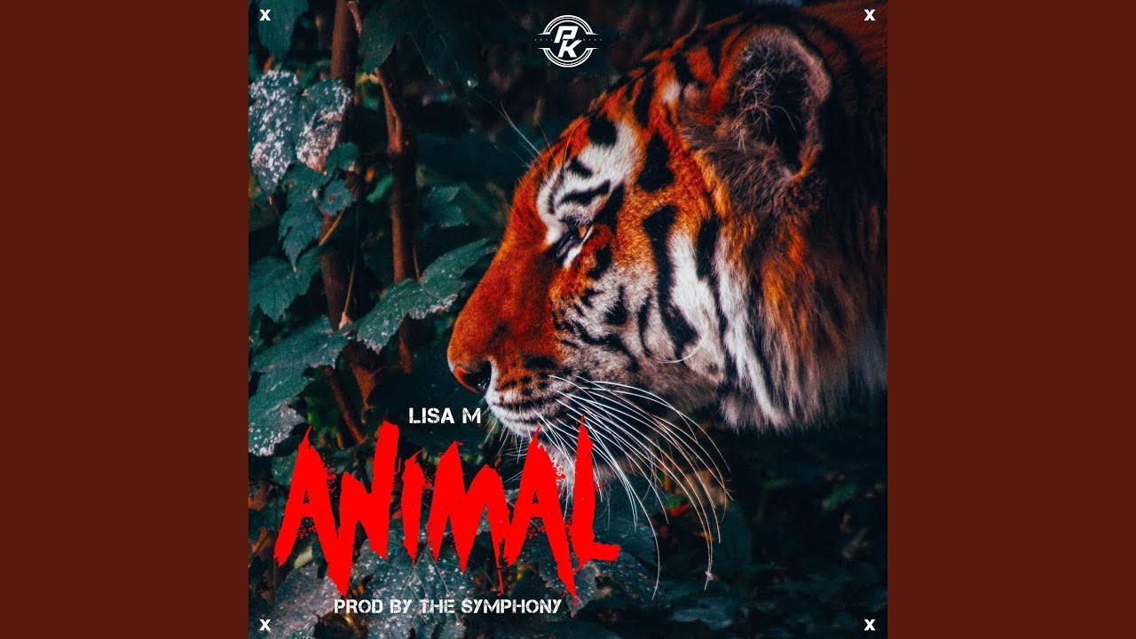 Animal - YouTube
