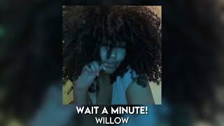 wait a minute! - willow [sped up]