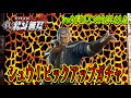 真・北斗無双モバイル【♯18】シュウ!ピックアップガチャ