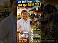 Indian cattle farming daily life #shorts #cattle #organicfarming #dailylife