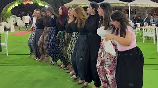 Group Kurdish Dance Performance With Live Music