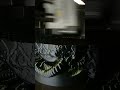 Bambu X1C Zenomorph EGG