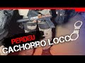 PERDEU CACHORRO LOCCO | POLÍCIA 190 ACRE | EPISÓDIO 62