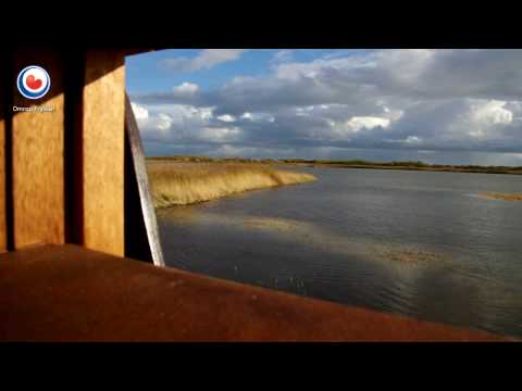 Vogelhut geopend in Kroonspolders op Vlieland