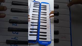 Download Lagu basuri v4 mozart remix MP3