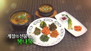 계절의 선물, 봄나물 / YTN 사이언스