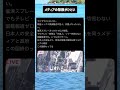 #ニュース #政治 #高市早苗 #自民党 #税金 #移民
