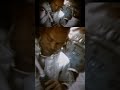 x-files 01