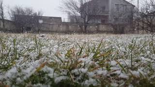 Let it snow - Digomi Tbilisi 17.01 2018