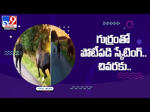 గుర్రంతో పోటీపడి స్కేటింగ్.. చివరకు.. - TV9 Digital