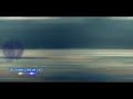 محمود شاکر