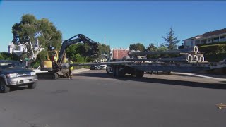 Neighbors shed light on historic lamppost removal
