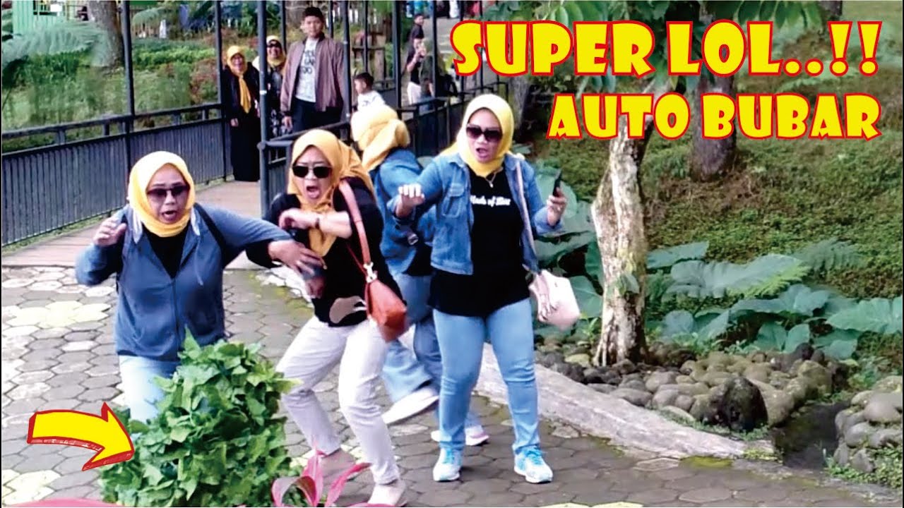 Розыгрыш Бушмена очень смешной..!! ЛУЧШИЕ СБОРНИКИ ЭПИЗОДОВ