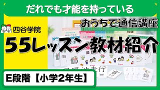 四谷学院 55段階療育 E段階 国語テキストのみ