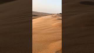 Just sand and silence... #desert #slowliving #peacefulmoments #shorts #calmvibes
