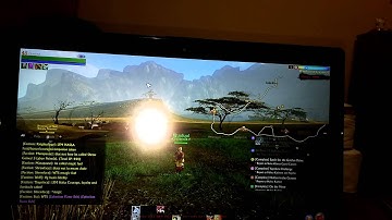 Archeage graphic problems