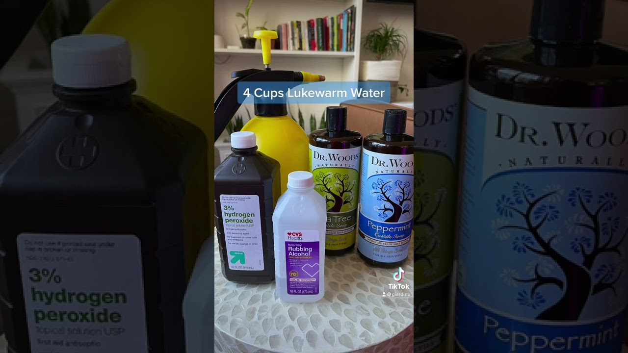 Kill spider mites, guaranteed!