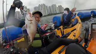 New Year New Fish? / KAYAK FISHING SINGAPORE / #008