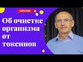 Об очистке организма от токсинов. Торсунов лекции