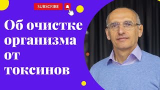 Об очистке организма от токсинов. Торсунов лекции