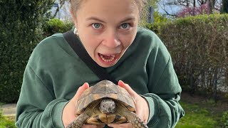 Daily Bible Study with Elsie: Colossians 4