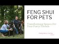 Feng Shui for Pets: Transforming Spaces For Your Furry Friends