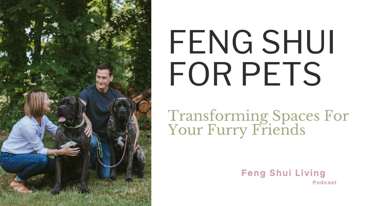 Feng Shui for Pets: Transforming Spaces For Your Furry Friends
