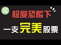 股市坐过山车！现在你该怎么操作？介绍一只应对动荡市场的，完美股票！【2021.03.05】