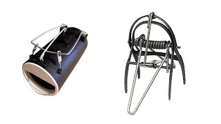 Top 5 Best Mole Traps : Mole Traps Reviews