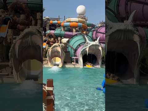 Fun time at Yas Water park | #yaswaterworld #abudhabi #dubai #waterpark