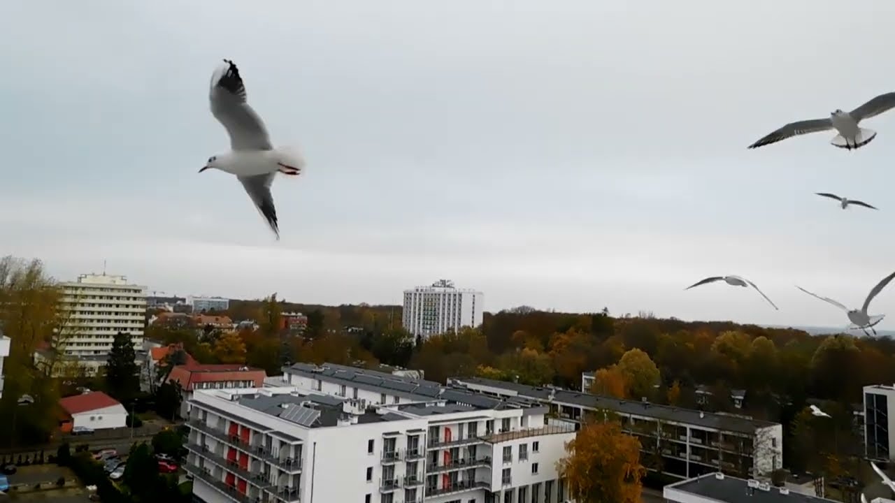Kołobrzeg -Sanatorium San