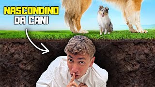 GIOCO a NASCONDINO con i MIEI CANI