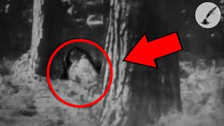 5 Creepy Paranormal Encounters in the Woods