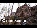 Пещеры в пос. Красный сокол | Соканлинна | Интересные места Ленинградской области