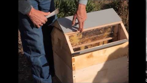 Q&A: How Do Middle Bar Frames Work?