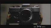 とかげの可愛い嘘 Youtube