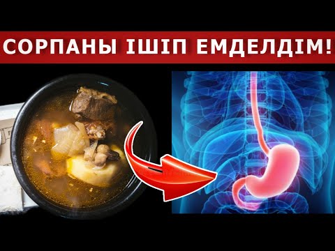 Бейне: Тауық сорпасы итке зиян келтіре ме?