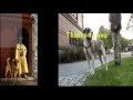Sci fi AGARI The Space Dog VS DAILYMOTION PIRATES 18 XXX DogsofDowntownUAE الحب الحيوان